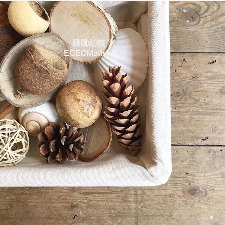 自然材料应当成为幼儿教师的首选教具