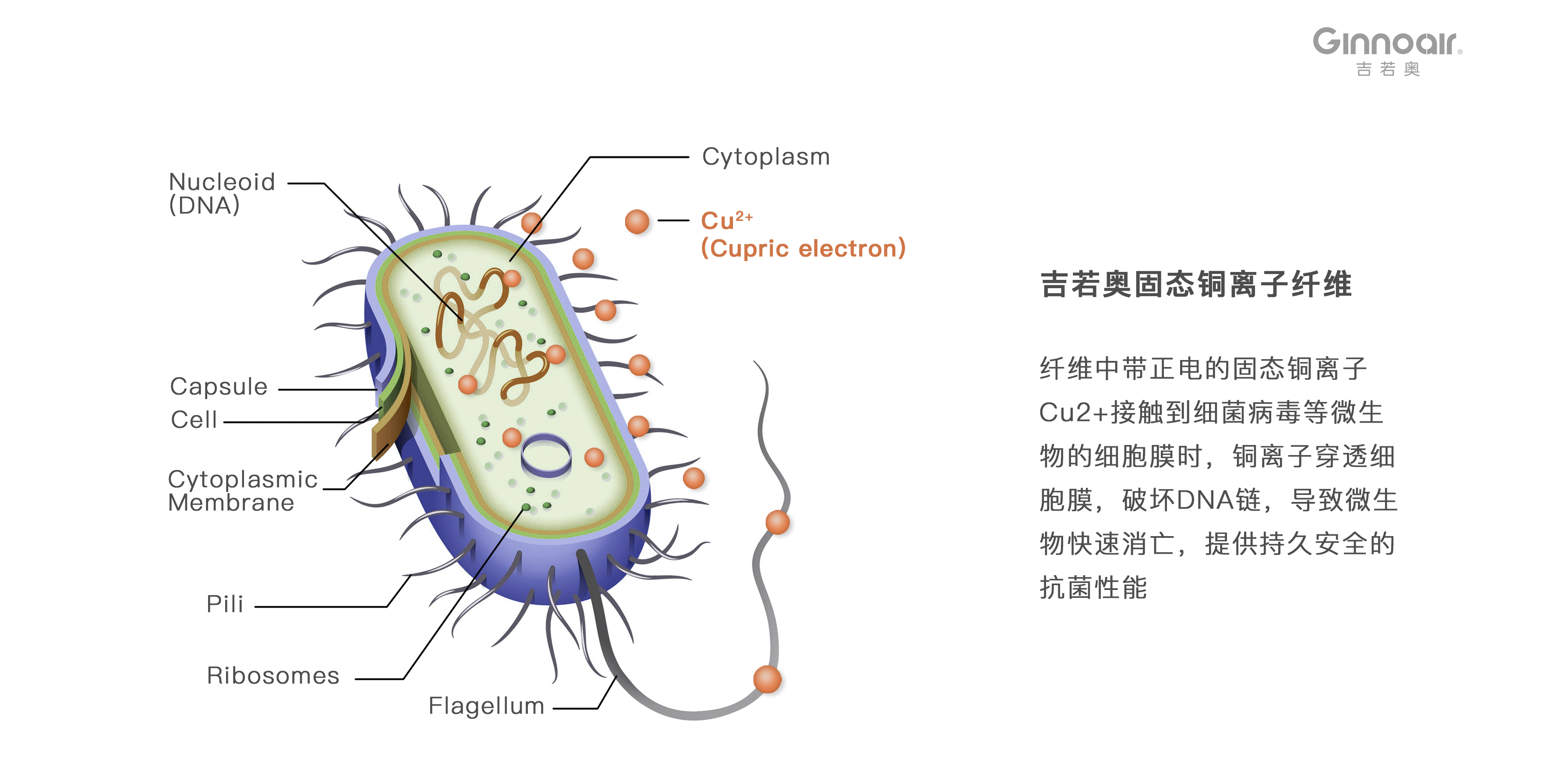吉若奥发布新一代固态铜离子cu抗菌抗病毒空气过滤网