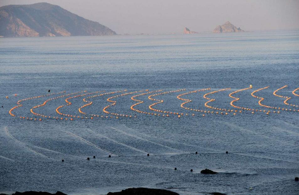 "扇贝去哪儿"演了四季,獐子岛还没玩腻吗?