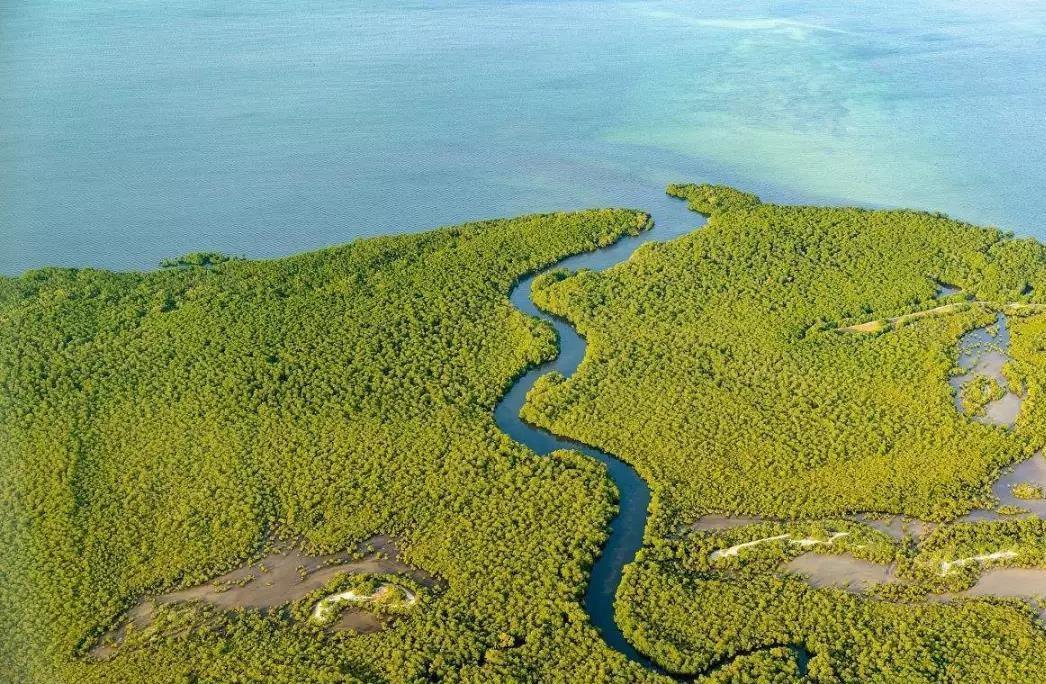原创世界上面积最大的河口三角洲在哪里
