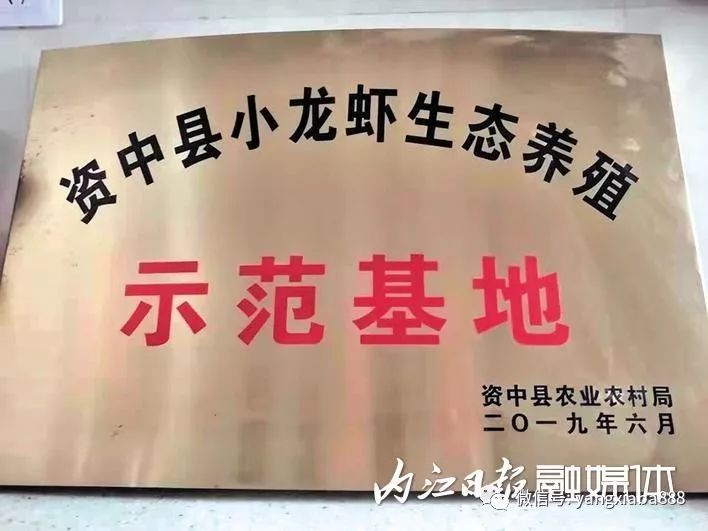 扭转困境90后大学生养虾一年收入上百万