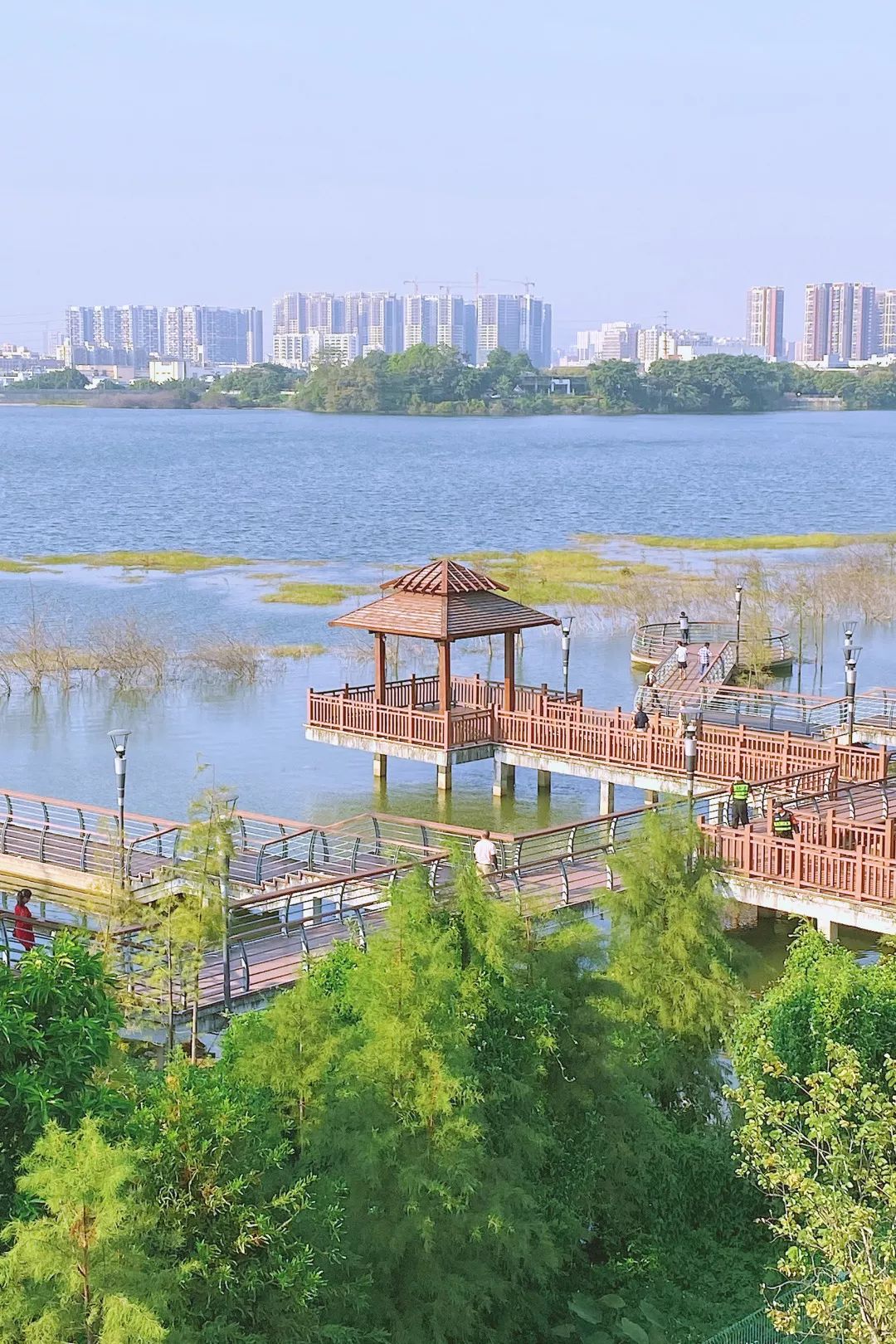 8000m绿道 空中长廊!周末来深圳「小西湖」,赏秋冬之美!