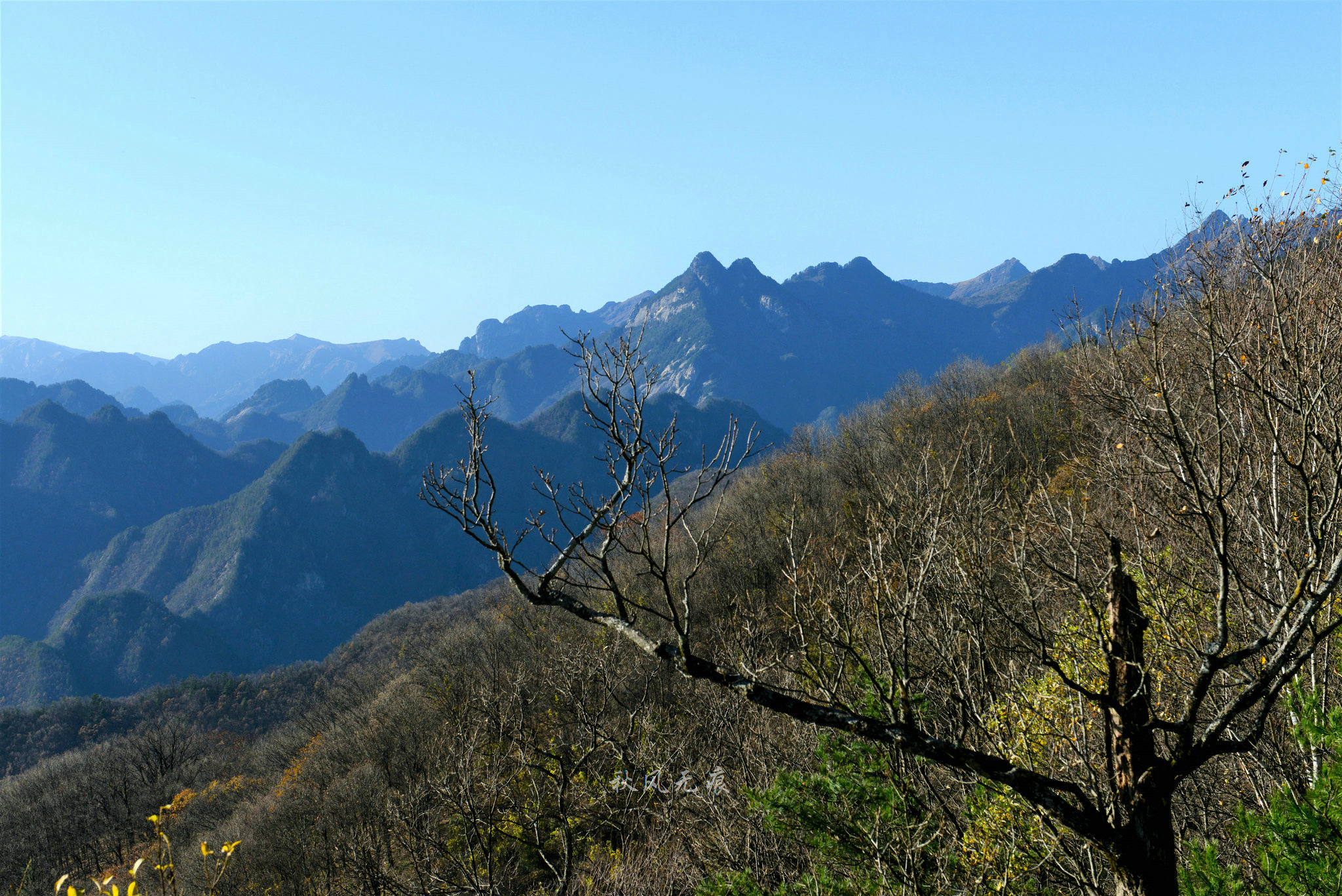 原创去黄花岭寻觅秦岭冬意秋色