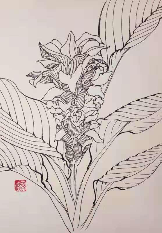 类别:钢笔白描作者:叶志军作品:莪术类别:水彩画作者:志坚类别:篆刻