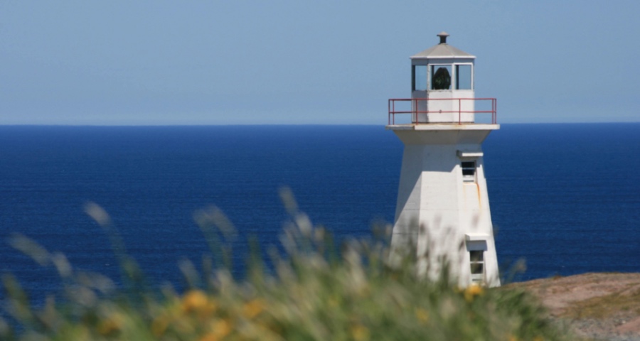 双十一透支市场效应显现:家电业再次发出“活着是唯一战略”-家电圈官网