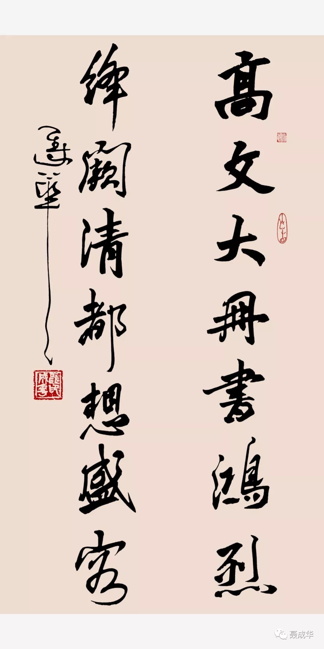 聂成华书法作品欣赏