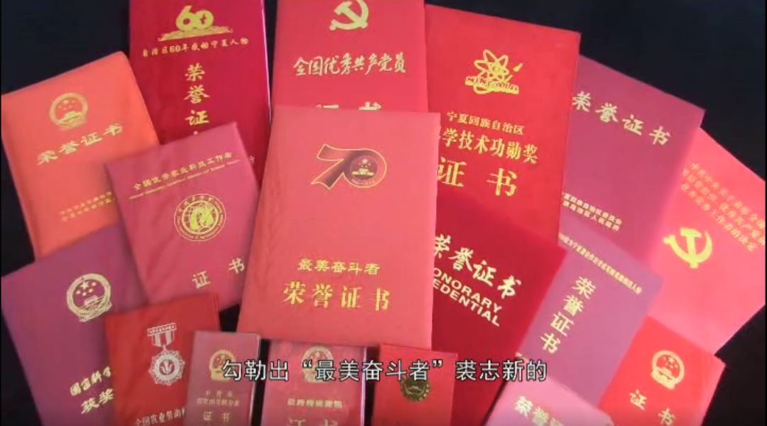 最美奋斗者裘志新用一粒种子造福万千苍生附视频