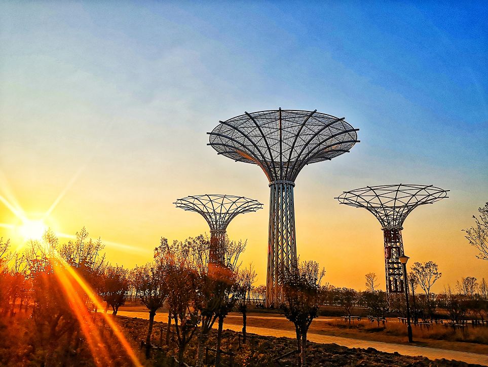 魅力三山生命之树灯光雕塑欢迎你来打卡