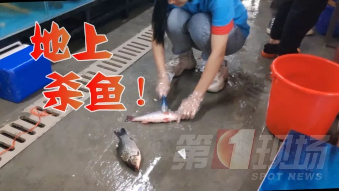 要宰殺的,就把死魚當活魚賣號稱不賣隔夜肉,保證是當天新鮮海鮮的盒馬