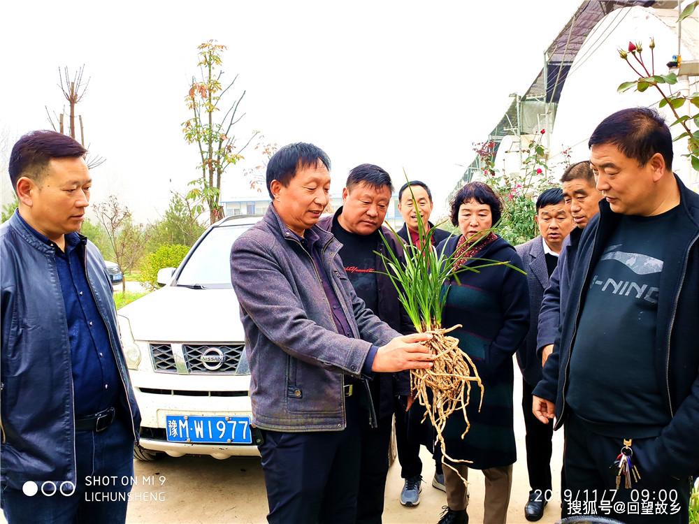 对南菠公路廊道绿化工程,窑子沟村危旧房屋拆除,金慧兰兰花产业基地