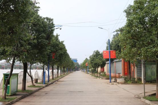 小街镇垃圾分类处理一条龙