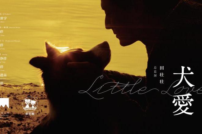 《犬爱》定档11月22日 比大爱多一点的爱