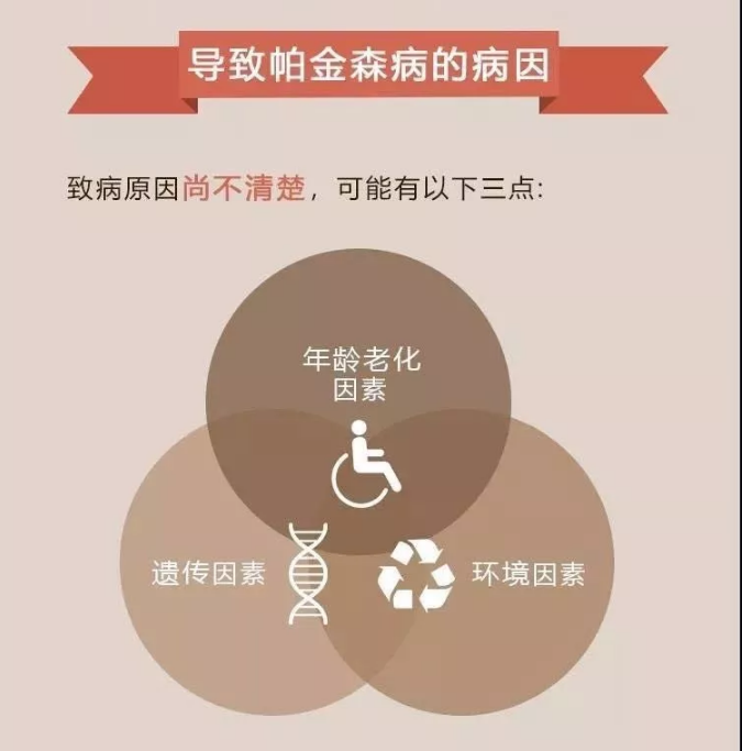 帕金森病的引发原因是什么帕金森的症状怎么治