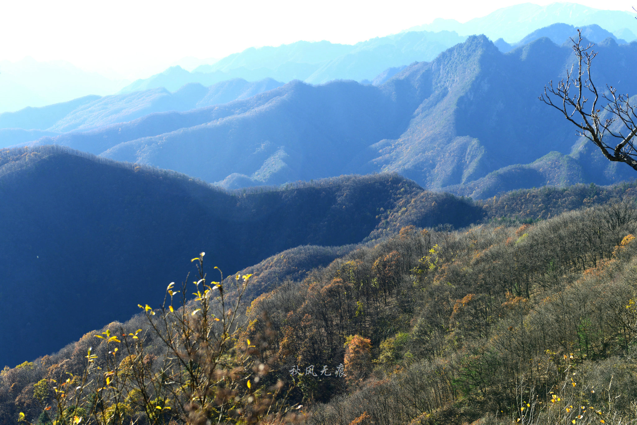 原创去黄花岭寻觅秦岭冬意秋色