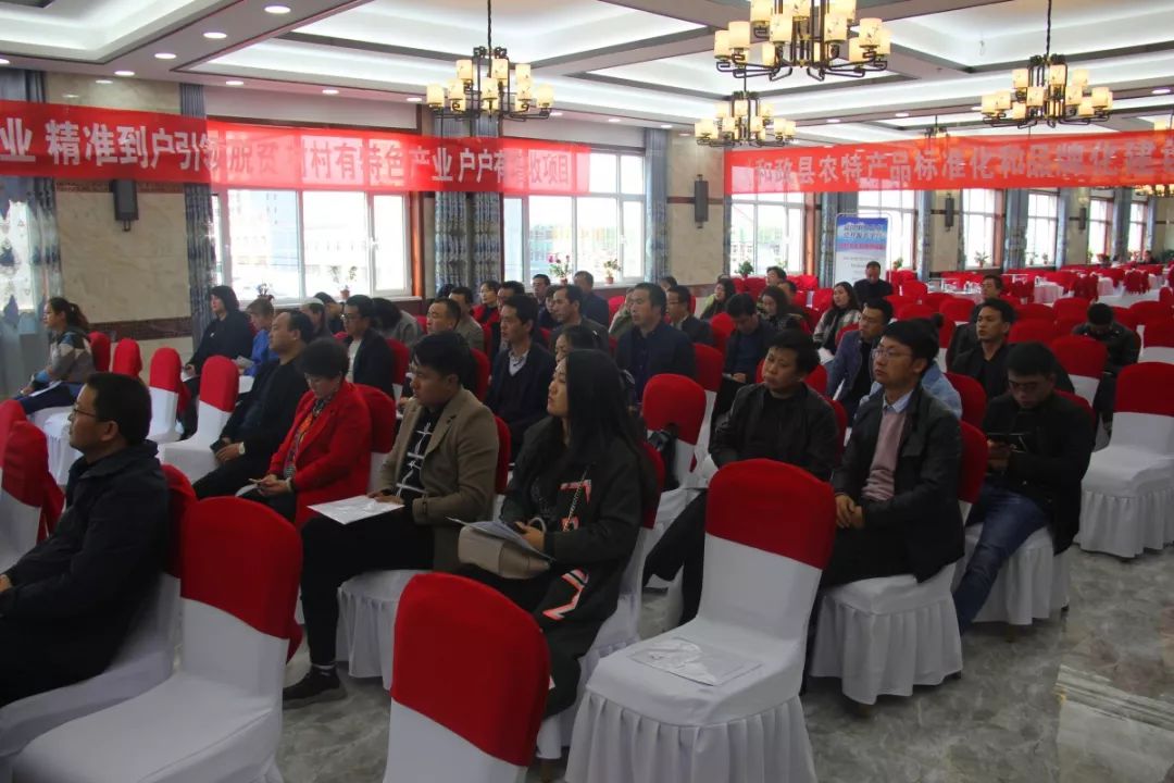 以及县政府副县长杨春香同志现场指导,扶贫开发公司负责人及和政县22