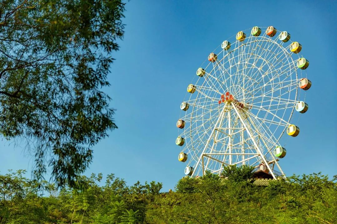 恩平花海欢乐世界1大1小399元2大2小699元一票通玩30多项机动游戏