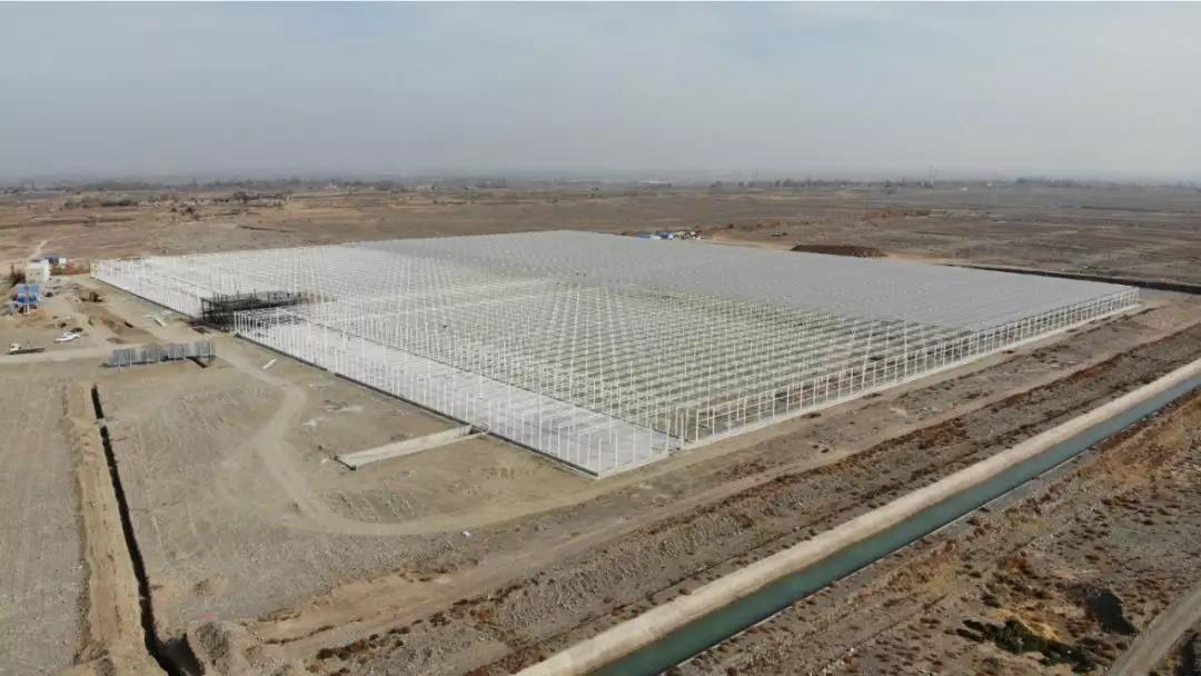 震撼江苏绿港敦煌种业项目现代农业让戈壁滩生机勃勃