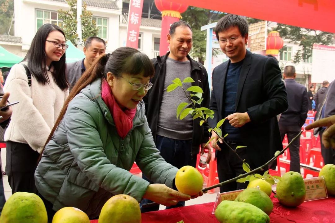 "安康户外小牛徒行俱乐部的陈先生说,从网上看到白河举办首届木瓜文化