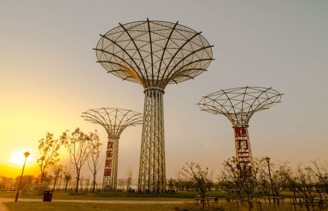 魅力三山生命之树灯光雕塑欢迎你来打卡