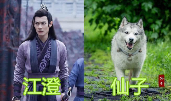 原创电视剧不是主角也会有人陪,润玉有邝露,唯有江澄:与狗对愁眠