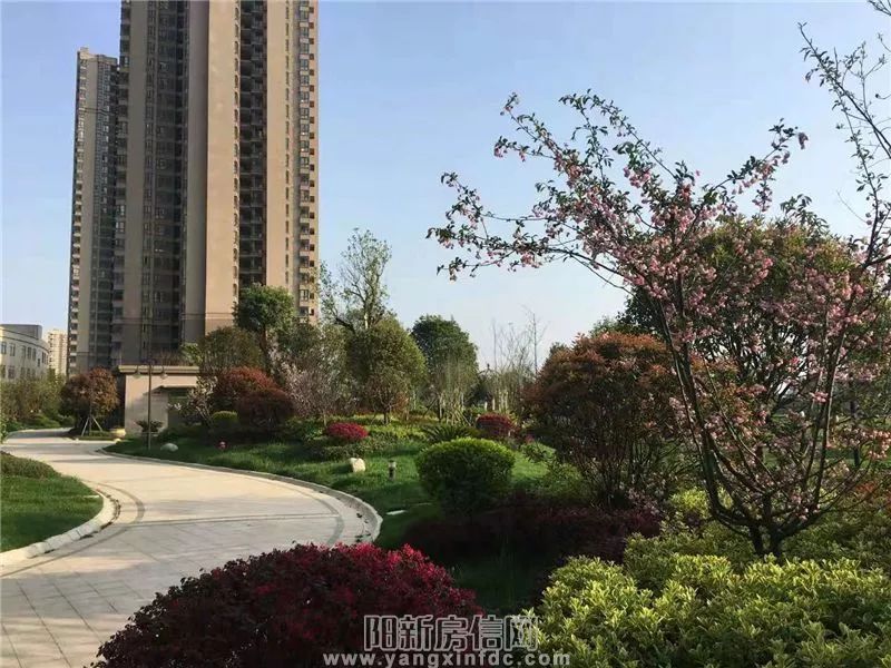 园林气质是怎样一种feel看了阳新宏维华仁北郡就懂了