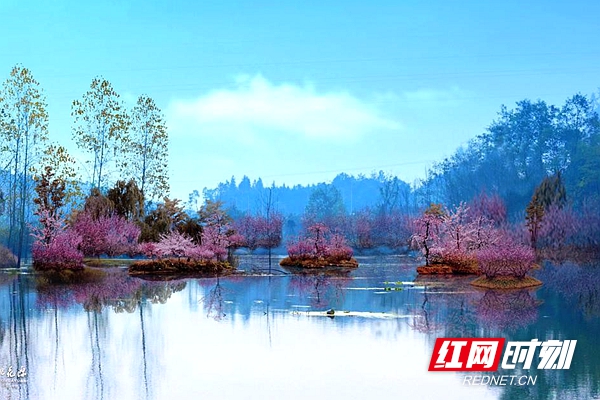 喜报!常德桃花源旅游区顺利通过国家5a级旅游景区景观质量评审