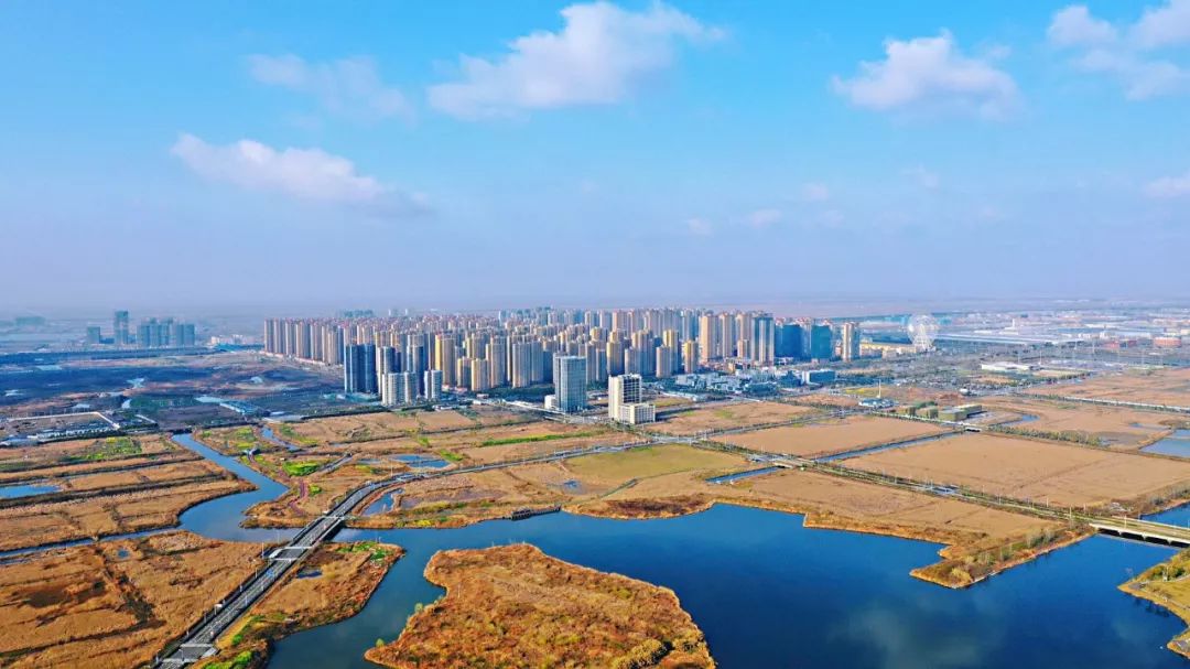 杭州湾最近真的很热最近杭州湾新区特别显眼热闹的事儿真的多