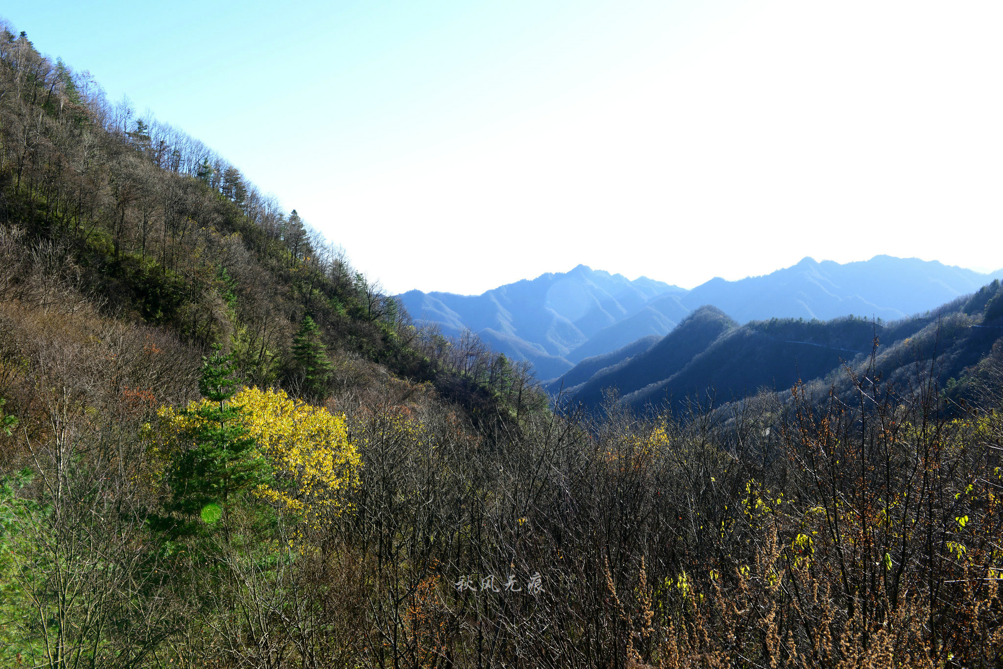 原创去黄花岭寻觅秦岭冬意秋色