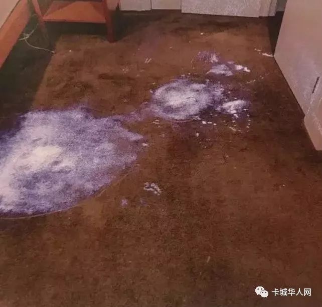 搜寻如何处理尸体,以及哪里可以购买大箱子,以及女子最后的抛尸地点