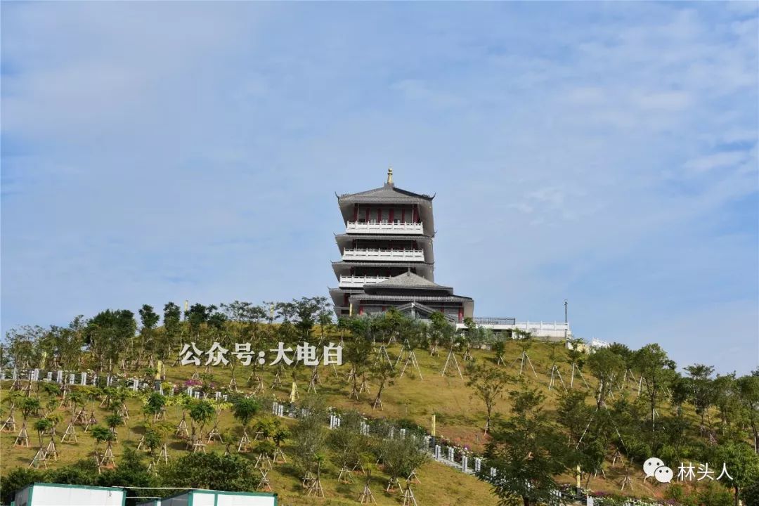 就能望见茂名乙烯旁边坐落于七迳镇高水公路旁潘茂名纪念公园是哪里呢