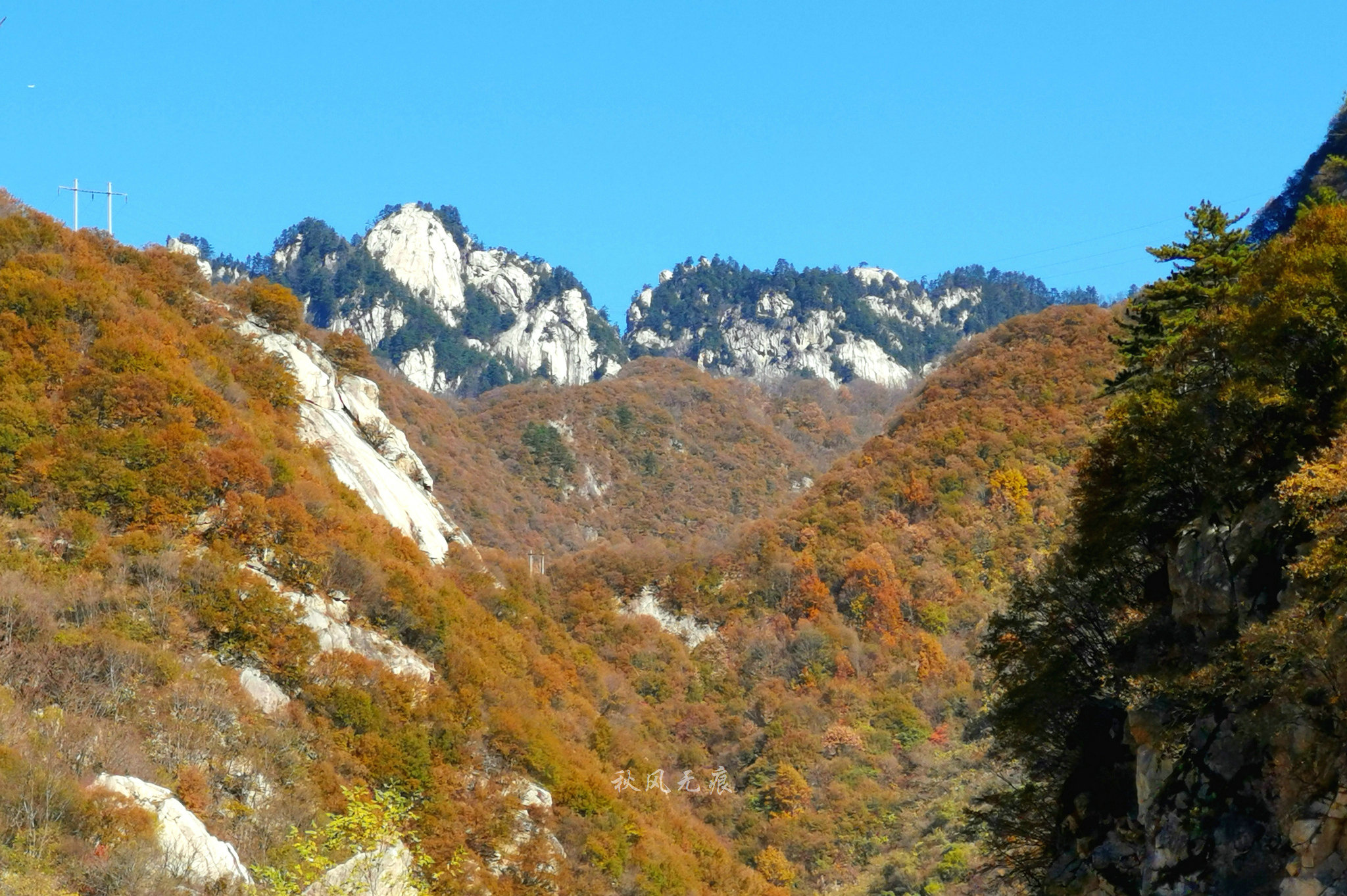 秦岭黄花岭冬天照片图片