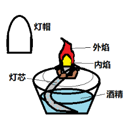 酒精灯各部分名称图片