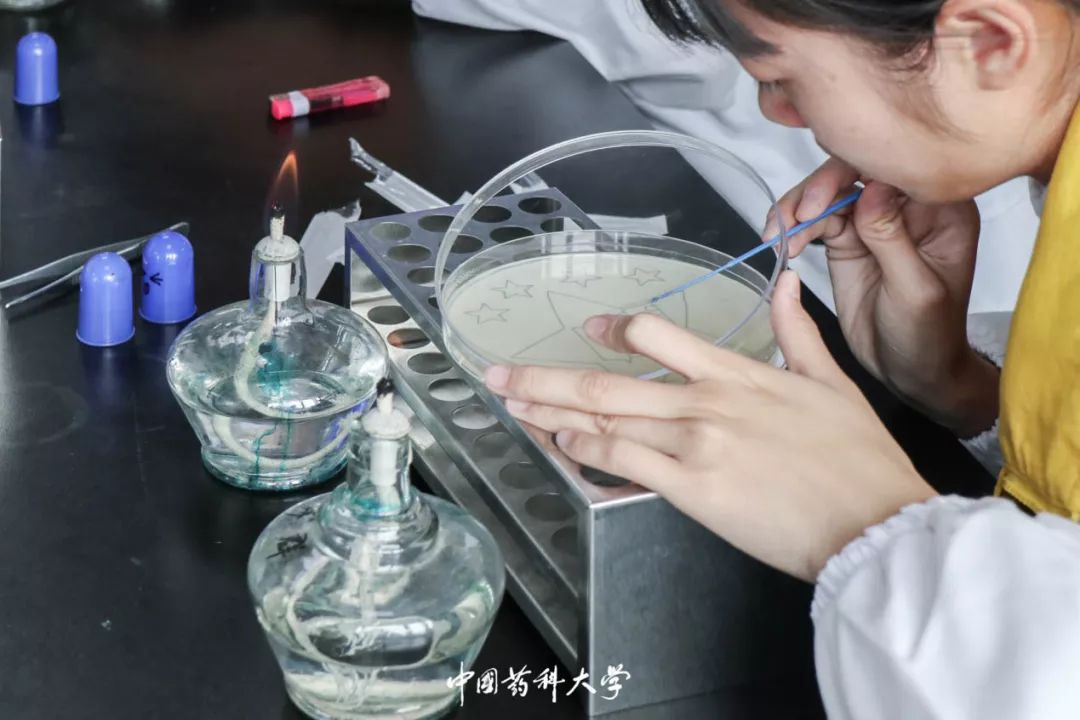 小心翼翼地掀开培养皿,用蘸好菌液的接种环在培养皿上作画.