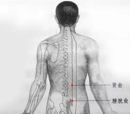 2,次髎3,氣海,中極4,陰陵泉5,三陰交6,金門艾灸方法:剛開始艾灸時