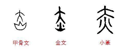 红字甲骨文图片