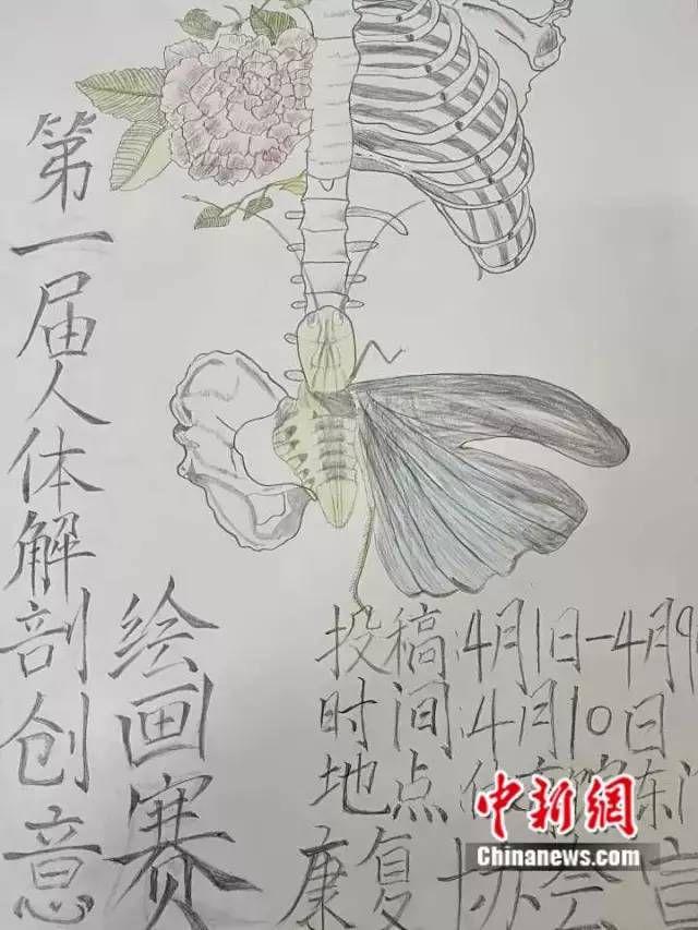 殡葬专业大学生这行值得尊重并非吃死人饭