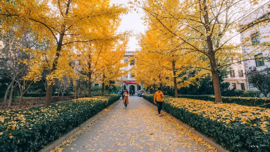 北京科技大学招生助理团摄