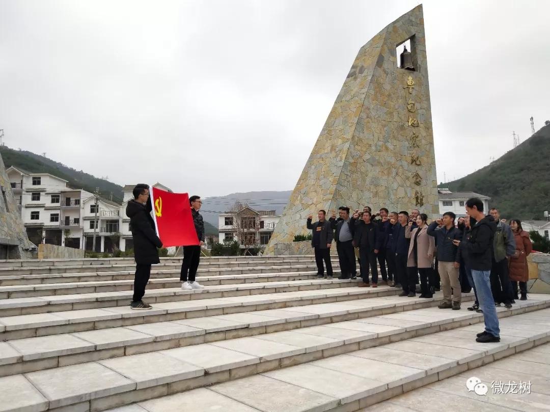 鲁甸县龙树镇人口图片