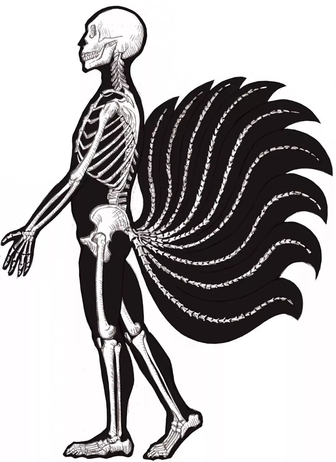 这套山海经有什么特别?科学,科学,科学!