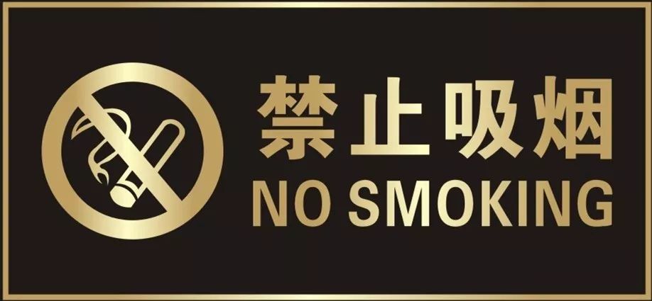 参观博物馆   文明是底色