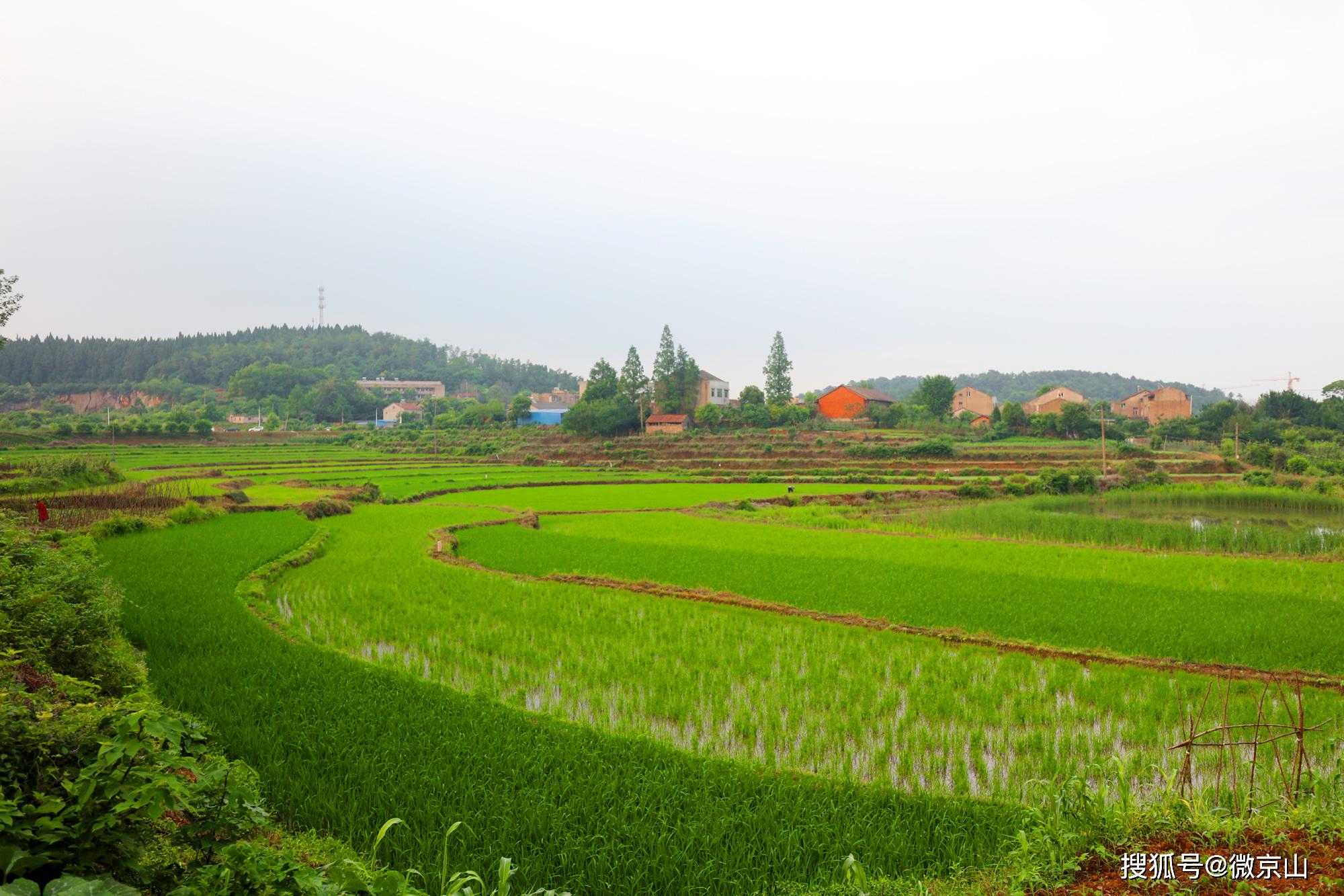 京山永兴镇城郊崛起的产业新城