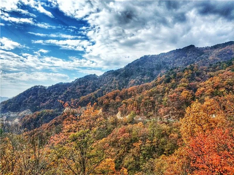 馬鬃嶺的山勢高低錯落,溝壑縱橫,盤山公路九曲連環,層次分明.