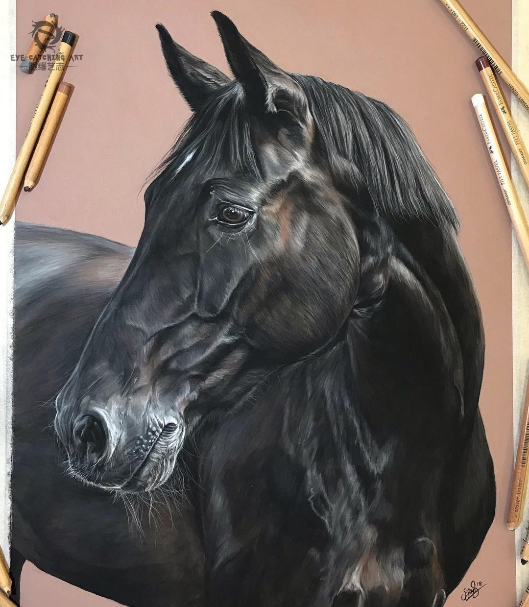 超写实不是谁都可以画这一组高质量手绘值得收藏