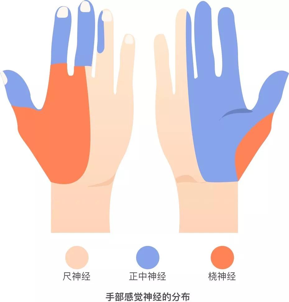 双十一过去了,你的手还好(zai)吗?_phalen