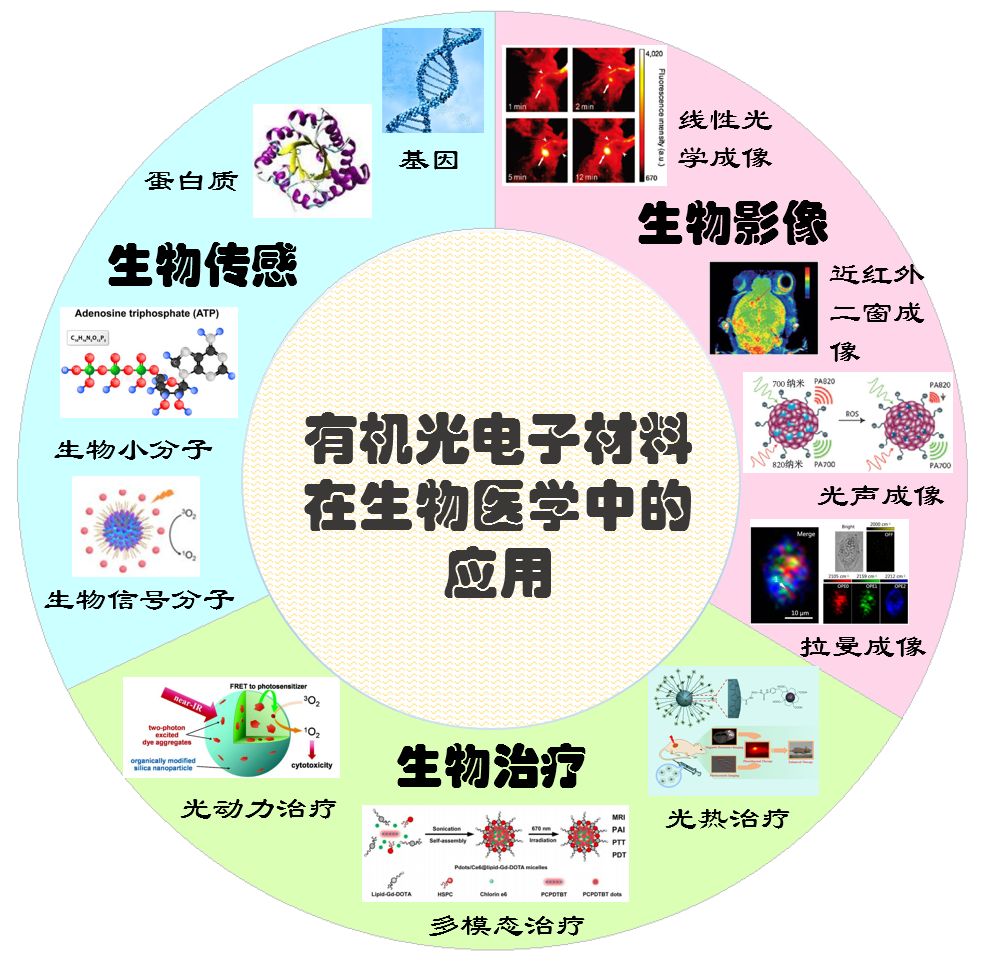 科技前沿丨有機光電子材料在生物醫學中的應用