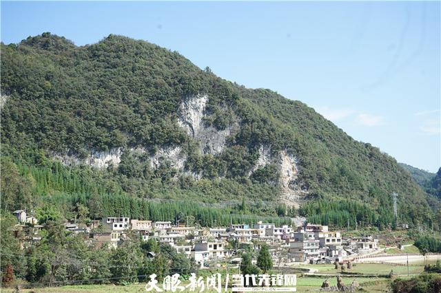 近日,记者驱车前往平坝区齐伯镇关口村,水泥路上平坦而干净,密林让