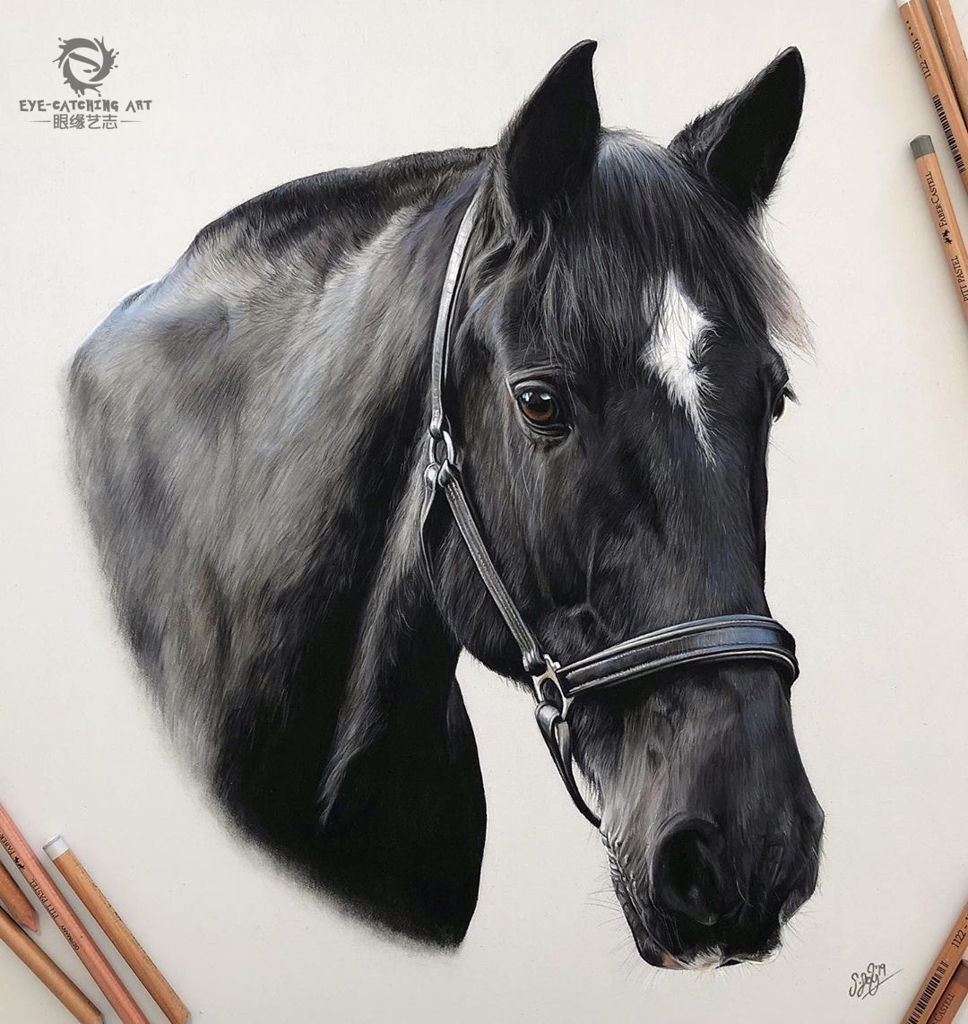 超写实不是谁都可以画这一组高质量手绘值得收藏