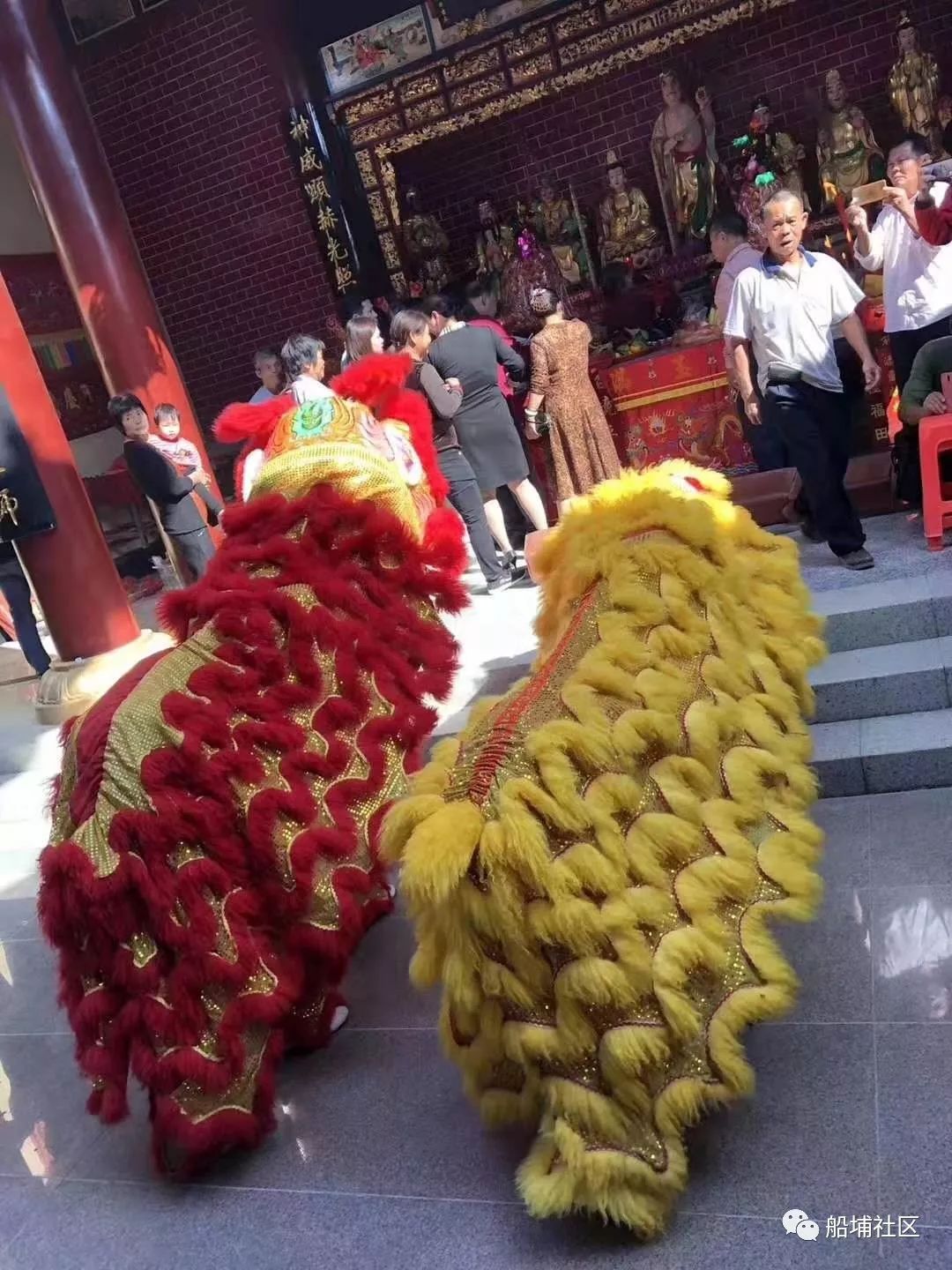 船埔天青村普庵宫三周年庆典活动!