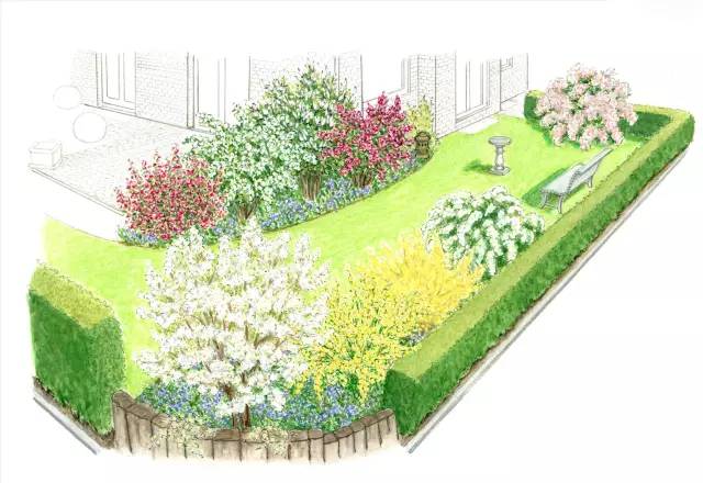 看过此文你也可以做花境