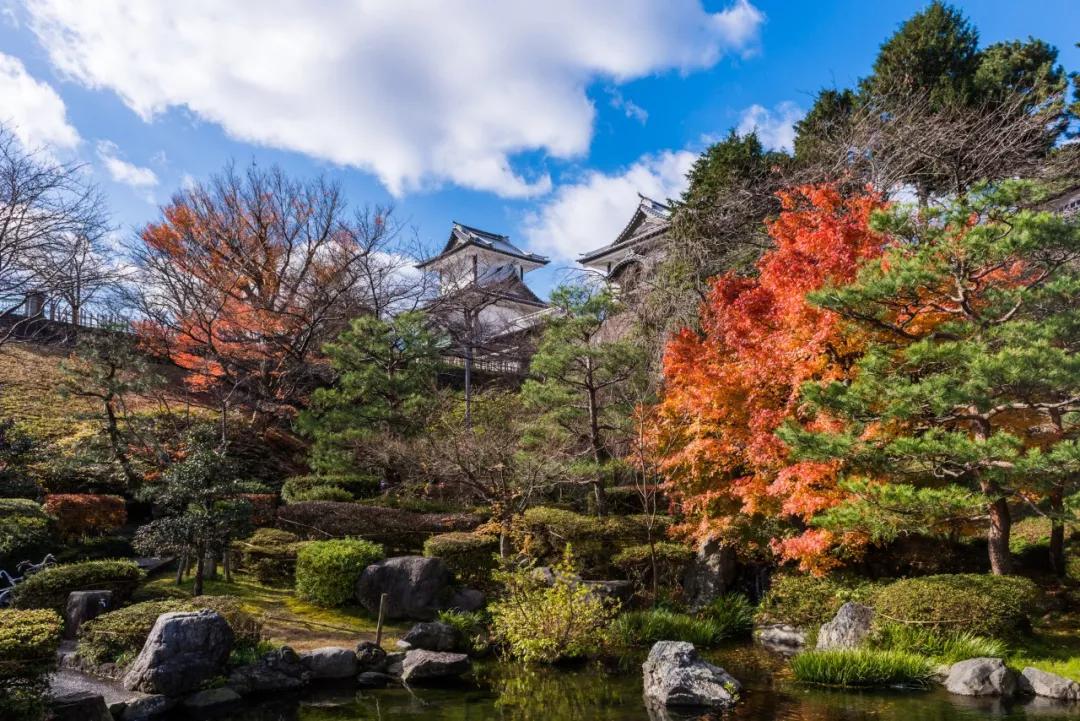 日本赏枫 | 2019年日本赏枫攻略，不要错过今年的红叶季！